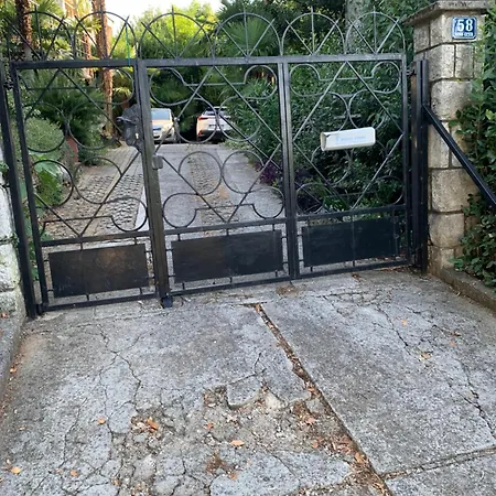 Sheltered Oasis In Appartement