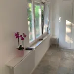Sheltered Oasis In Appartement