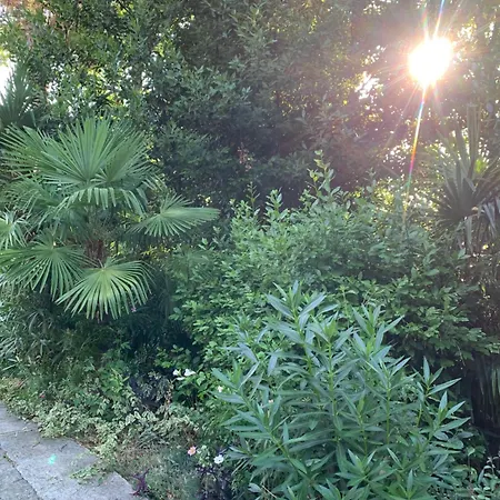 Sheltered Oasis In Opatija
